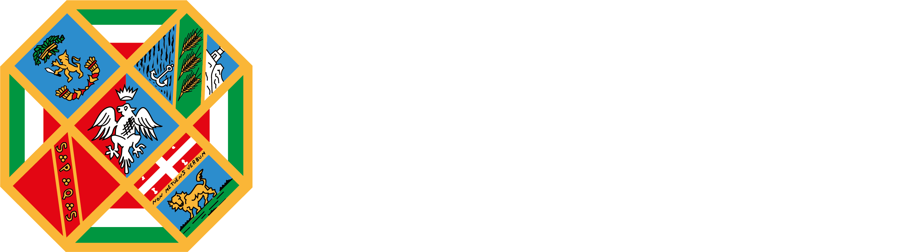 LOGO_NEGATIVO_COLORE TRASPARENZA